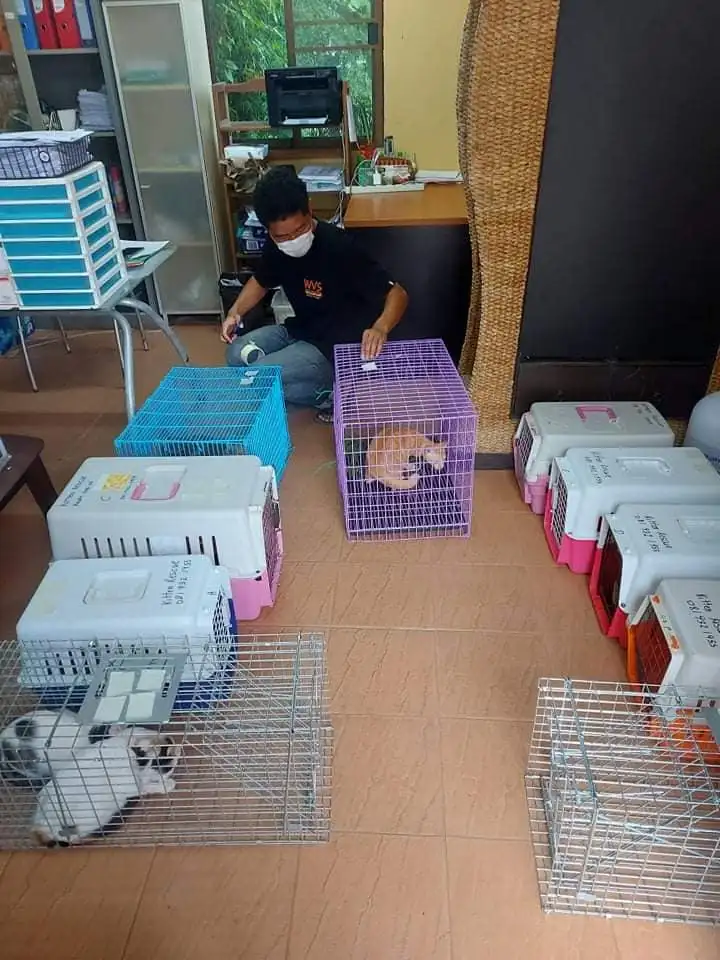 #12 — WVS help us sterilize 23 colony cats