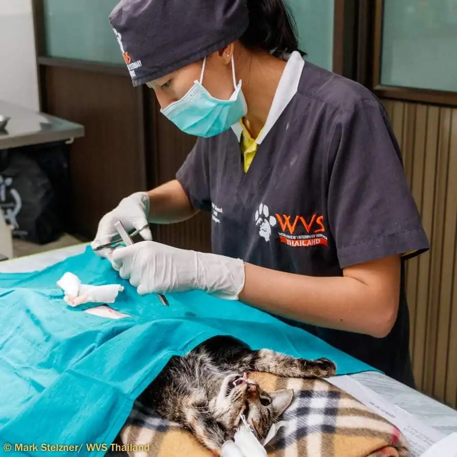 #14 — 19 cats sterilized with WVS