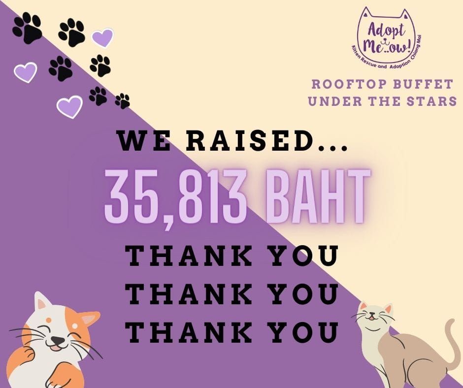 #18 — Over 35,000 baht raised!
