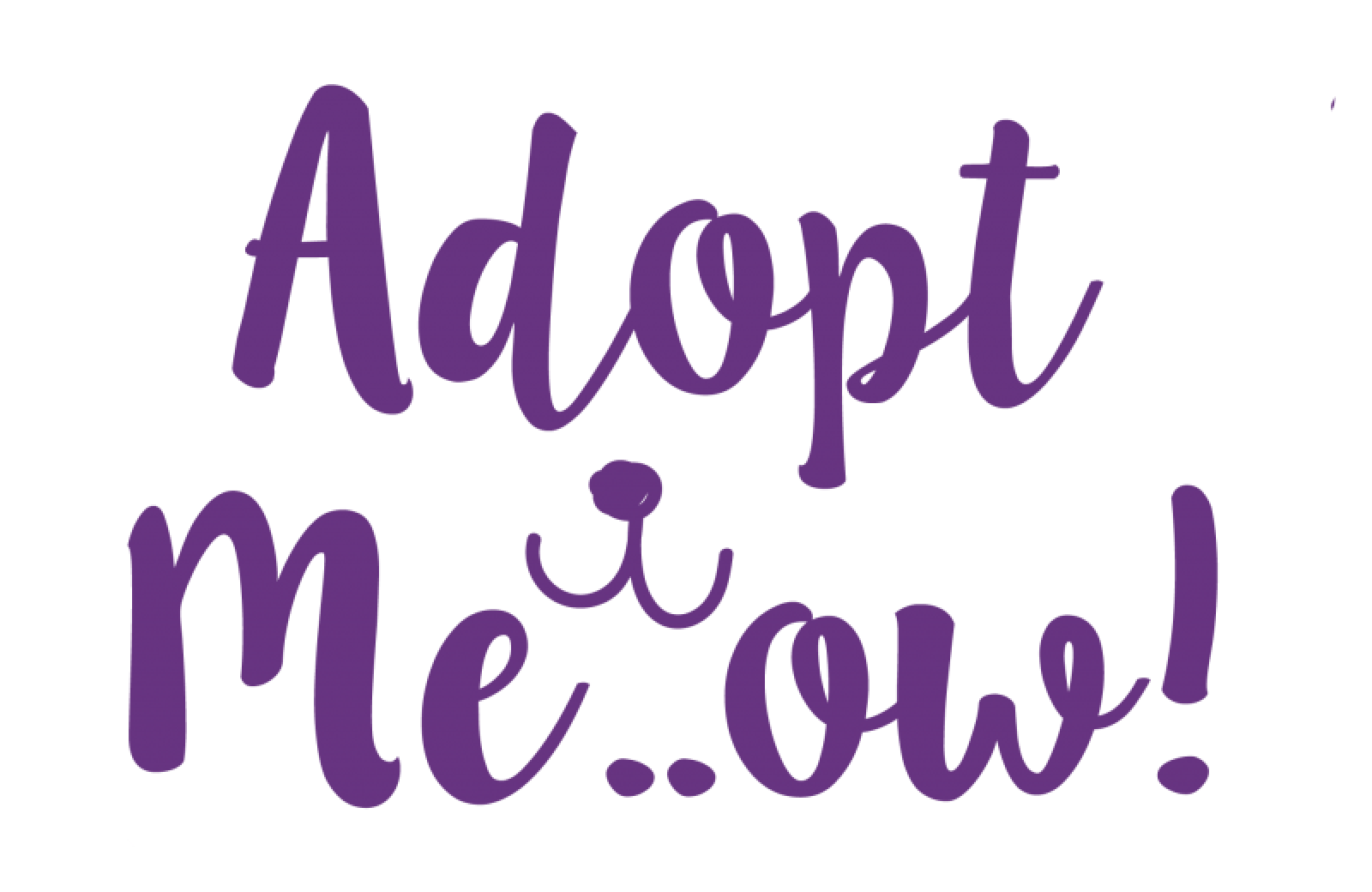 Adopt Meow